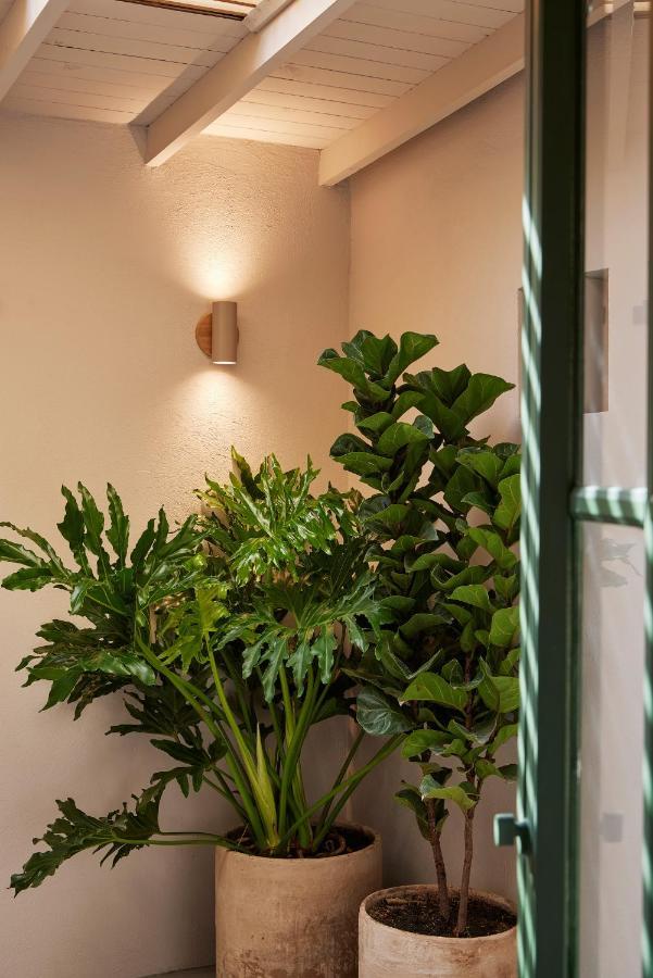 Antipoda Hotel Boutique Medellin Luaran gambar